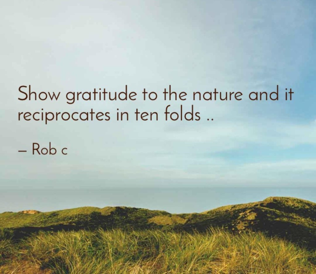 Cette image a un attribut alt vide ; le nom du fichier est 4ydd2290-1.jpg